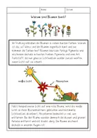 Vorschau - Arbeitsblätter - Warum sind Blumen bunt? Forschen im Sachunterricht - Seite 1