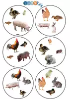Aperçu - Jeux - Le jeu symbole rapide des animaux de la ferme - 3 niveaux - Page 3