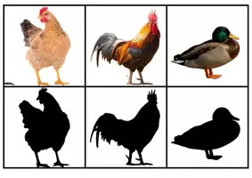 Aperçu - Jeux - Le jeu des ombres des animaux de la ferme - Page 3