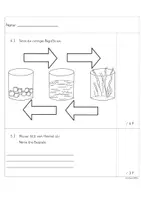 Vorschau - Test - Wasser - Test Sachunterricht - Seite 1