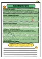 Vorschau - Unterrichtsreihen - Materialpaket: Die Säugetiere (Hund,Katze,Pferd,Kuh und Hase) - Seite 2
