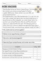 Vorschau - Arbeitsblätter - Lesen & Verstehen - Mein Körper (Klasse 1/2) - Seite 2