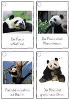 Vorschau - Fördermaterial/Inklusion - Der Pandabär, Lesekarten für Erstleser (Silbenmethode), Nr. 001 - Seite 2