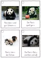 Vorschau - Fördermaterial/Inklusion - Der Pandabär, Lesekarten für Erstleser (Silbenmethode), Nr. 001 - Seite 3