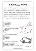 anteprima - Esercizi - CONSONANTE N BREVE TESTO + COMPRENSIONE - Pagina di copertina