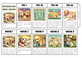 Vorschau - Mal- und Bastelvorlagen - Leporello zur Entwicklung des Hundes (Welpen) - Seite 1