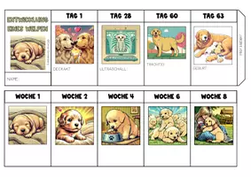 Vorschau - Mal- und Bastelvorlagen - Leporello zur Entwicklung des Hundes (Welpen) - Seite 2
