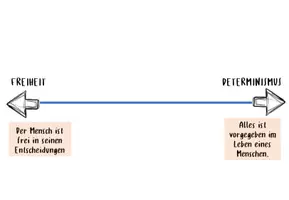 Vorschau - Poster - Positionslinie / Freiheit Determinismus / Oberstufe - Seite 2