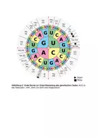 Vorschau - Test - mündliches Abitur in Biologie; Genetik/Neurobiologie, Klausur - Seite 2