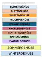 Vorschau - Spiele - Gemüsevielfalt: Finde das Gemüse - Paar - Deckblatt