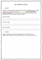 Vorschau - Arbeitsblätter - Der weibliche Zyklus - ABL zu unterschiedlichen Zykluslängen - Deckblatt