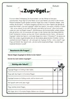 Vorschau - Arbeitsblätter - Pingos Lesewerkstatt - Frühling - Seite 2