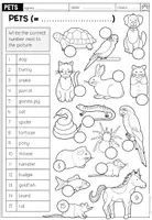 Vorschau - Arbeitsblätter - PETS - Worksheets (Arbeitsblätter Bundle) - Seite 3