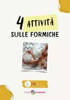 anteprima - Esercizi - Esercizi sulle Formiche - Piccole Cose, Grandi Sguardi - Pagina di copertina