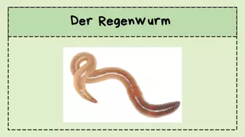 Vorschau - Arbeitsblätter - Regenwurm Forscherheft - Seite 3