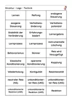 Vorschau - Arbeitsblätter - Klausurvorbereitung: Struktur-Lege-Technik klassische und operante Konditionierung - Deckblatt