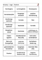 Vorschau - Arbeitsblätter - Klausurvorbereitung: Struktur-Lege-Technik klassische und operante Konditionierung - Seite 2