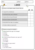 Vorschau - Arbeitsblätter - Lunge Biologie Arbeitsblätter mit Lösungen Lesetext - Seite 2