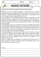 Vorschau - Arbeitsblätter - Muskelgewebe Biologie Arbeitsblätter mit Lösungen Lesetext - Seite 1