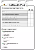 Vorschau - Arbeitsblätter - Muskelgewebe Biologie Arbeitsblätter mit Lösungen Lesetext - Seite 2