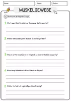 Vorschau - Arbeitsblätter - Muskelgewebe Biologie Arbeitsblätter mit Lösungen Lesetext - Seite 3
