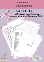Vorschau - Arbeitsblätter - Prüfung 2026 Sachtext “Woher kommt eigentlich Ostern?” - Deckblatt