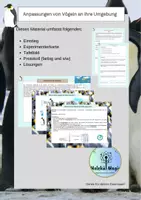 Vorschau - Arbeitsblätter - Experiment: Anpassungen von Vögeln (Pinguine) an ihre Umgebung - Deckblatt