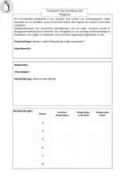 Vorschau - Arbeitsblätter - Experiment: Anpassungen von Vögeln (Pinguine) an ihre Umgebung - Seite 3
