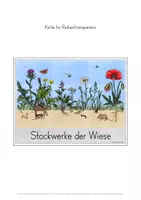Vorschau - Stundenentwürfe - Stockwerke der Wiese Unterrichtseinheit - Seite 3