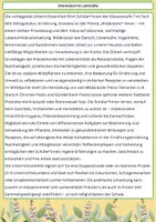 Vorschau - Arbeitsblätter - Wildkräuter im Frühling - Seite 1