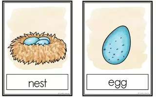 anteprima - Flashcard - Easter Flashcards - Pagina 1