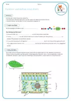 Vorschau - Arbeitsblätter - Aufbau des Blattes - Arbeitsblatt - Seite 1