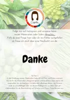 Vorschau - Mal- und Bastelvorlagen - Bildkarten und Ausmalbilder Gemüse | Flashcards Montessori Lernkarten - Seite 2