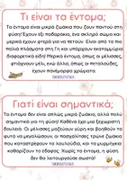 Προεπισκόπηση - Πλάνο μαθήματος / Υλικό για τον εκπαιδευτικό - Θεματική ενότητα: Τα έντομα - Teacher's Little Tales - Σελίδα 2
