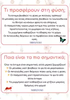 Προεπισκόπηση - Πλάνο μαθήματος / Υλικό για τον εκπαιδευτικό - Θεματική ενότητα: Τα έντομα - Teacher's Little Tales - Σελίδα 3