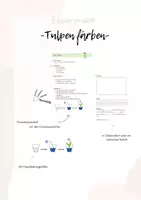 Vorschau - Arbeitsblätter - Experiment Frühblüher - Tulpen färben - Deckblatt