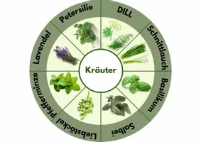 Vorschau - Stationenlernen - Deckblatt Legekreis Kräuter Schulgarten - Seite 1