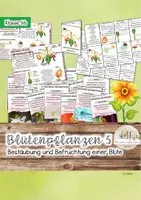 Vorschau - Stundenentwürfe - Bestäubung und Befruchtung von Blütenpflanzen - Deckblatt