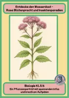 Vorschau - Arbeitsblätter - Entdecke den Wasserdost – Rosa Blütenpracht und Insektenparadies (3) - Deckblatt