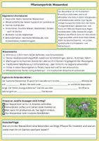Vorschau - Arbeitsblätter - Entdecke den Wasserdost – Rosa Blütenpracht und Insektenparadies (3) - Seite 1