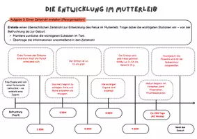 Vorschau - Arbeitsblätter - Die Entwicklung des Ungeborenen im Mutterleib | Unterrichtsreihe "Sexualerziehung", Biologie 7./8. Klasse - Seite 1