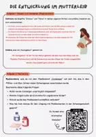 Vorschau - Arbeitsblätter - Die Entwicklung des Ungeborenen im Mutterleib | Unterrichtsreihe "Sexualerziehung", Biologie 7./8. Klasse - Seite 2