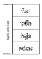 Vista previa - Hojas de trabajo - Lapbook Partes de la Planta - Material colaborativo - página 2