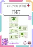 Vista previa - Tarjetas / Manipulativos - Lifecycle of a tree - material colaborativo - Portada
