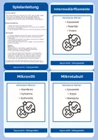 Vorschau - Spiele - Zellorganellen (Zellbiologie) - Sag es nicht! - Seite 2