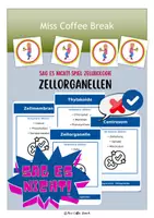 Vorschau - Spiele - Zellorganellen (Zellbiologie) - Sag es nicht! - Deckblatt