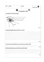 Vorschau - Arbeitsblätter - HSU-Probe zum Thema "Das Auge" (Sehvorgang, Beschriftung, Blindenschrift) - Seite 1