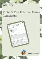 Vorschau - Arbeitsblätter - HSU-Probe zum Thema "Das Auge" (Sehvorgang, Beschriftung, Blindenschrift) - Deckblatt