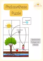 Vorschau - Spiele - Photosynthese Puzzle - Deckblatt