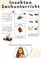 Vorschau - Arbeitsblätter - Sachunterricht: Insekten Materialien für die Grundschule - Deckblatt